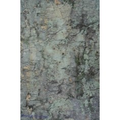 Carta sughero stampato cm 100x65 Mondo Presepi