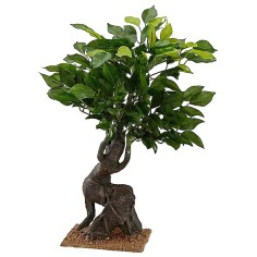 Oak of h 40.5 cm for Presepe 2