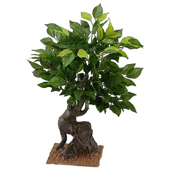 Oak of h 40.5 cm for Presepe