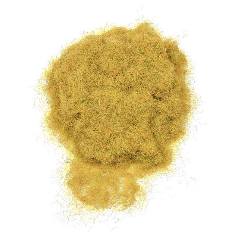 Erba statica gialla 30 gr