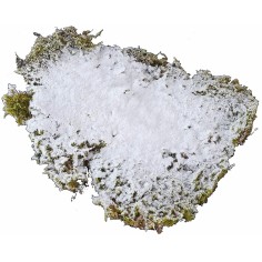 Nieve helada 200 gramos Mundo Pesebres 2