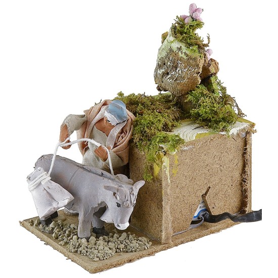 Woman in motion with donkey