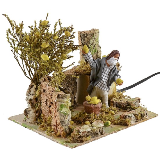 12 cm lemon picker on the go