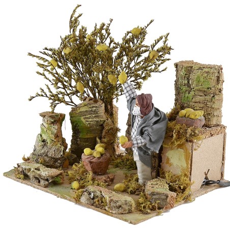 12 cm lemon picker on the go