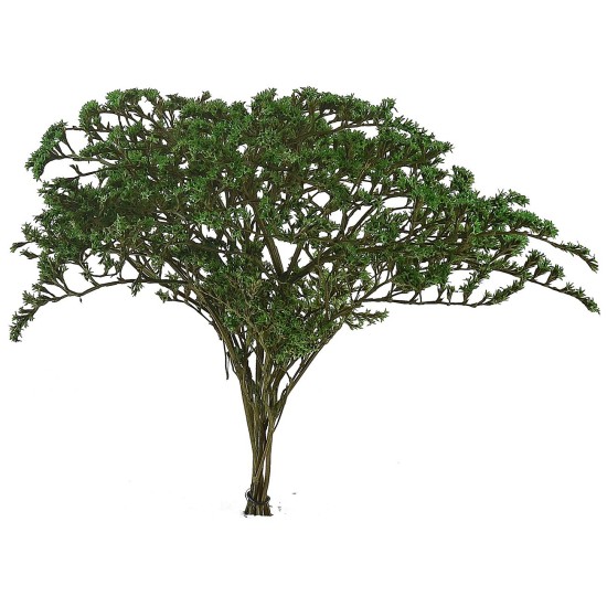 Cespuglio naturale verde 25 gr