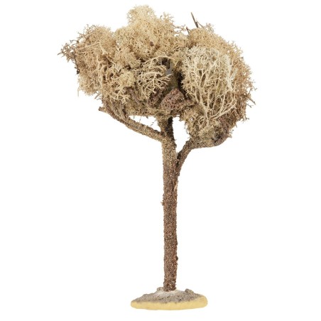 Tree with foliage height 20 cm plants, foliage, height, tree