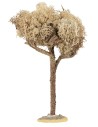 Albero con chioma h 20 cm