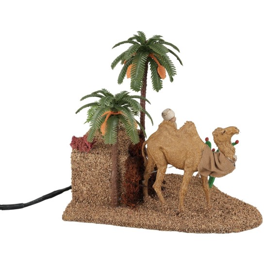 Arabic with camel with double movement series 10