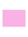 Gelatina Rosa brillante cm 25x30
