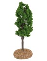 Poplar tree h 17 cm
