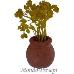 Terracotta vase with yellow flowers