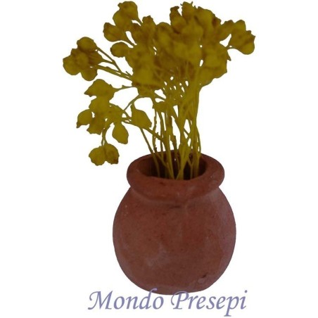 Terracotta vase with yellow flowers
