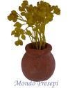 Vaso in terracotta con fiori gialli