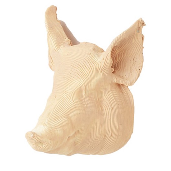 Testa di maiale 3 cm