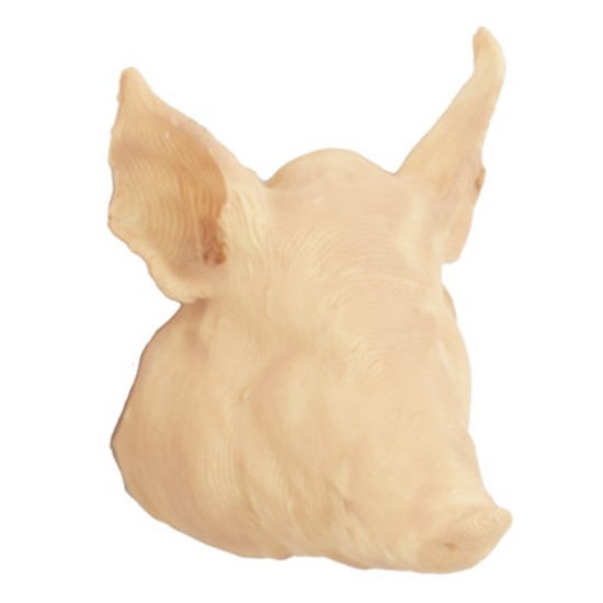 Testa di maiale 4 cm testa, maiale Mondo Presepi
