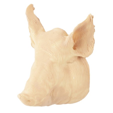 Testa di maiale 4 cm