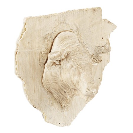 Insegna con testa di toro 4 cm