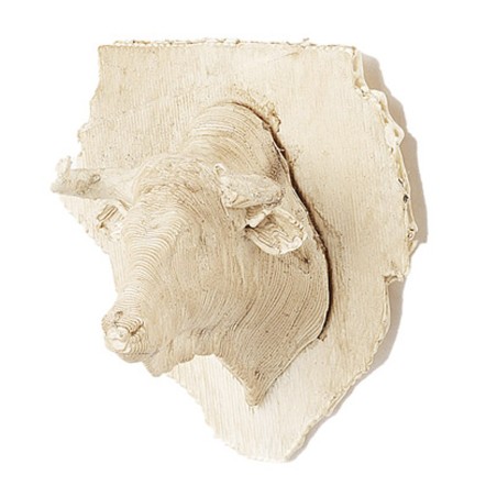 Insegna con testa di toro 4,5 cm testa, insegna, toro