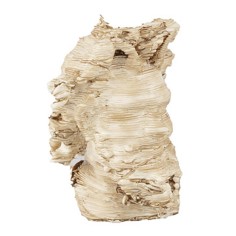 Head of a faun from Pompeii 2.5 cm Pompeii, faun, head, painted