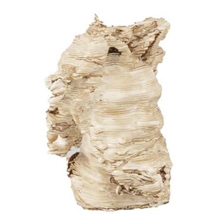 Head of a faun from Pompeii 2.5 cm Pompeii, faun, head, painted