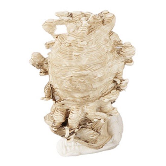 Testa di fauno di Pompei 2,5 cm pompei, fauno, testa, dipinta