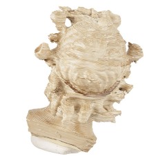 Testa fauno di Pompei 3,5 cm fauno, pompei, testa Mondo Presepi 2