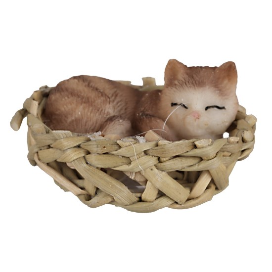 Gatto marrone striato che dorme in una cesta