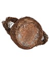 Damigiana per presepe 4,5 cm