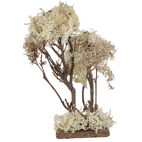 Albero doppio in lichene autunnale cm 20 h olive trees, olive