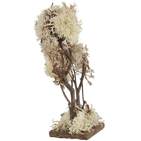 Albero doppio in lichene autunnale cm 20 h olive trees, olive