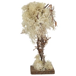 Albero a base quadrata in lichene autunnale cm 20 h