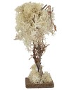 Árbol con base cuadrada en liquen otoñal de 20 cm de altura.