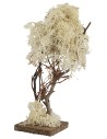 Albero a base quadrata in lichene autunnale cm 20 h