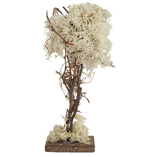 Árbol con base cuadrada en liquen otoñal de 20 cm de altura.