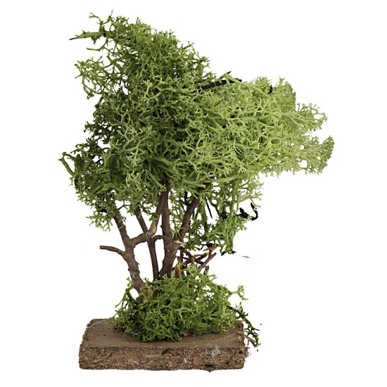 Albero in lichene verde cm 14 h piante, legno, lichene, albero