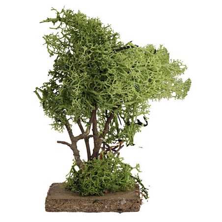 Albero in lichene verde cm 14 h olive trees, olive tree, plant