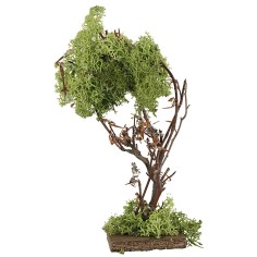 Albero in lichene verde cm 18,5 h olive trees, olive tree