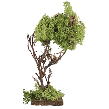 Albero in lichene verde cm 18,5 h piante, legno, lichene