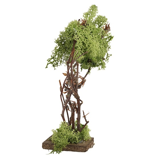 Albero in lichene verde cm 18,5 h olive trees, olive tree