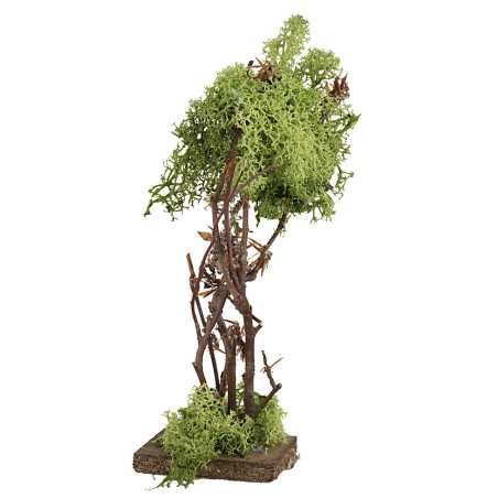 Albero in lichene verde cm 18,5 h piante, legno, lichene