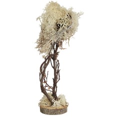 Albero a base quadrata in lichene autunnale cm 15h albero 2