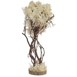 Albero a base quadrata in lichene autunnale cm 15h