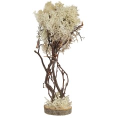 Árbol con base cuadrada en liquen otoñal de 15 cm de altura