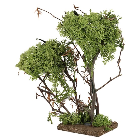 Albero verde doppio in lichene cm 20 h olive trees, olive tree