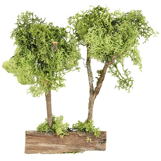 Árboles verdes sobre tronco en liquen verde de 20 cm de altura