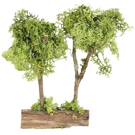 Árboles verdes sobre tronco en liquen verde de 20 cm de altura