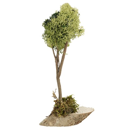 Albero in lichene verde cm 20 h olive trees, olive tree, plant