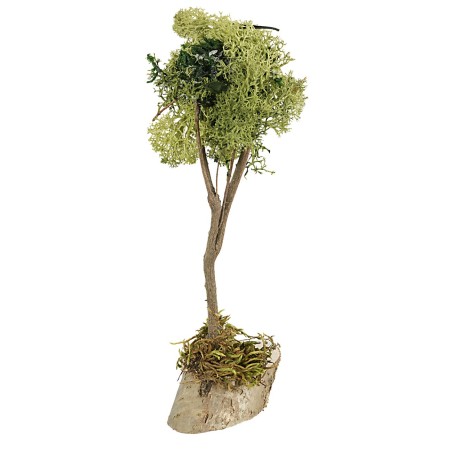 Albero in lichene verde cm 20 h piante, lichene, legno, albero