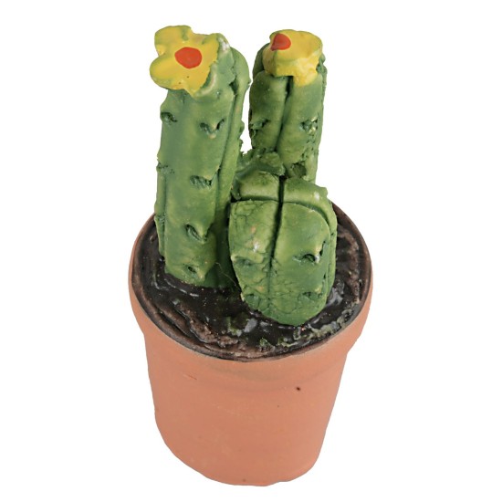 Vaso in resina di piante grasse con diversi colori vaso