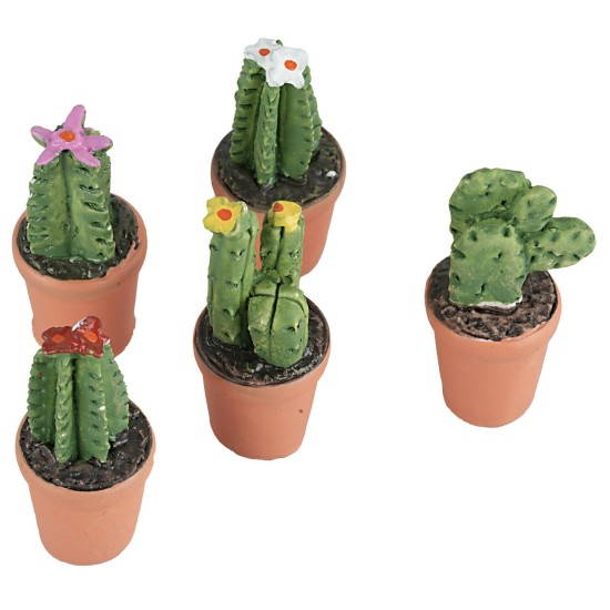 Vaso in resina di piante grasse con diversi colori resina